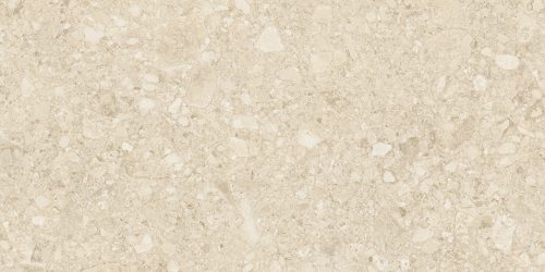 Ceppo Di Clay GHR 60x120