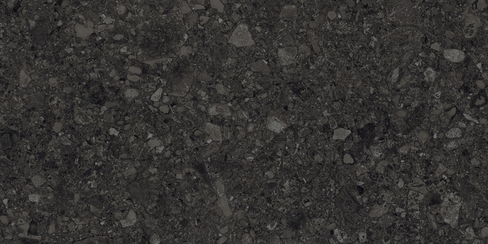 Ceppo Di Nero GHR 60x120