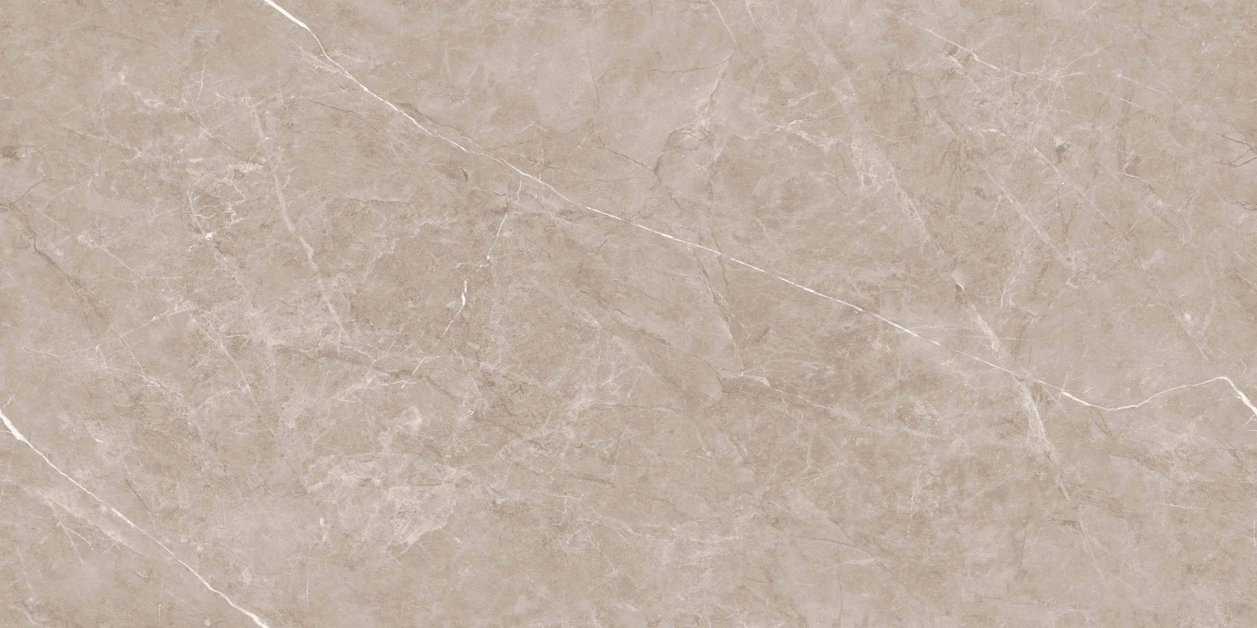 Flurry Taupe Carving 60x120 — изображение 2