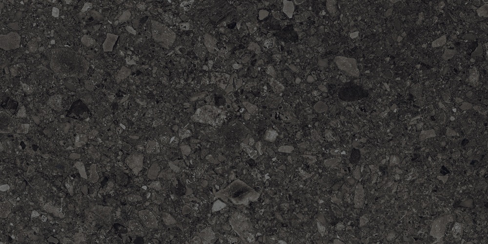 Ceppo Di Nero GHR 60x120 — изображение 3