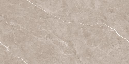 Flurry Taupe Carving 60x120