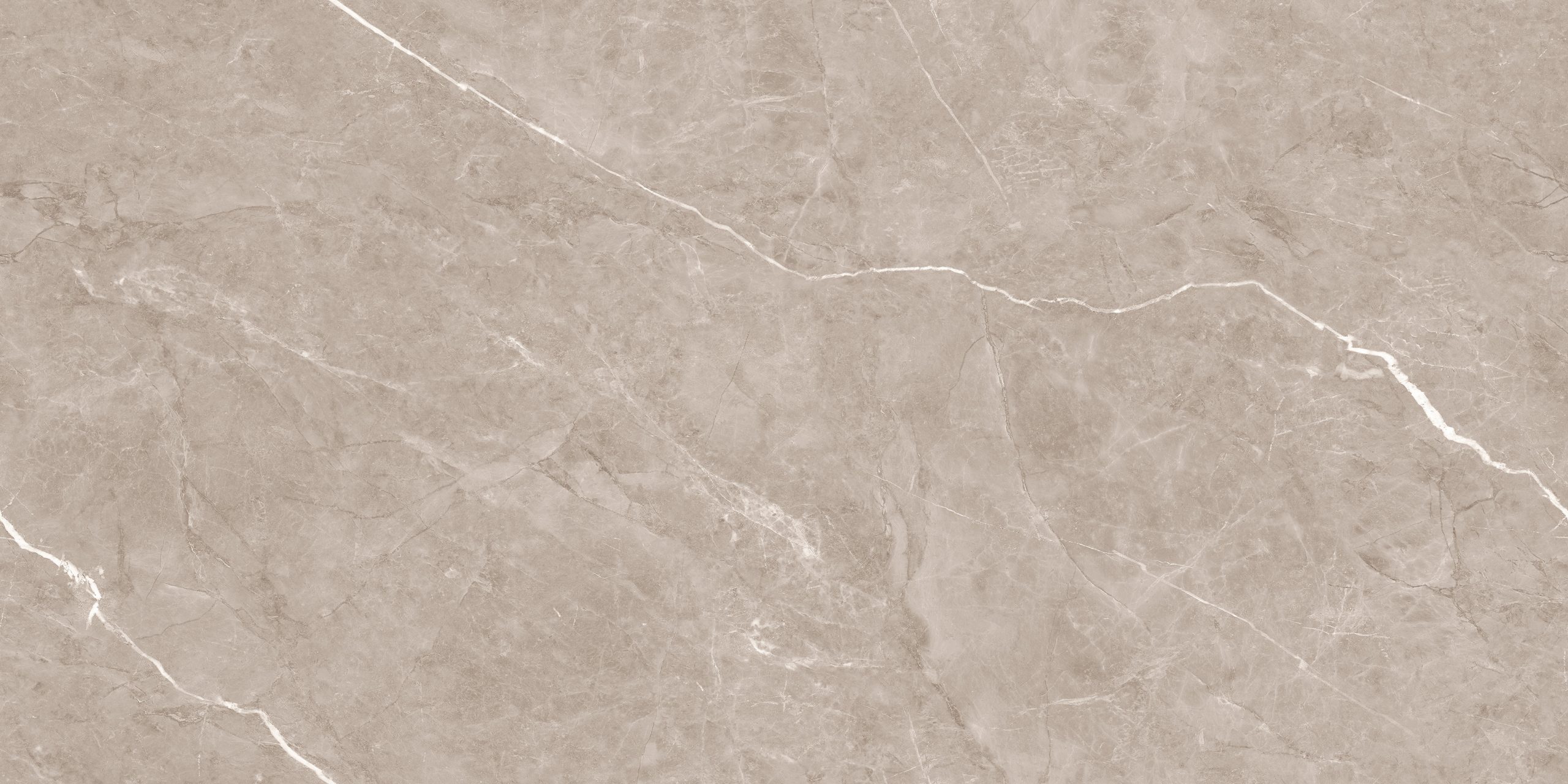 Flurry Taupe Carving 60x120