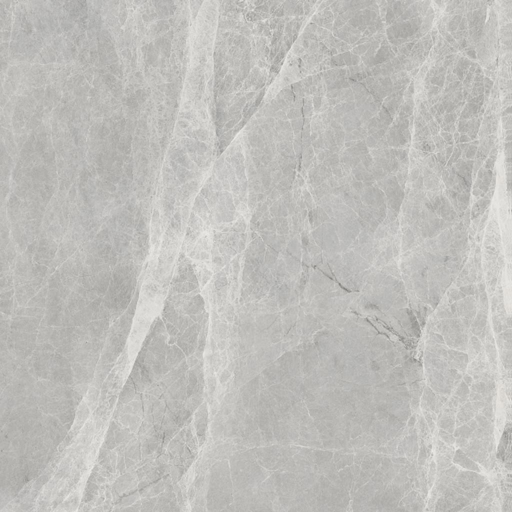 Worner Grey Sugar 60x60