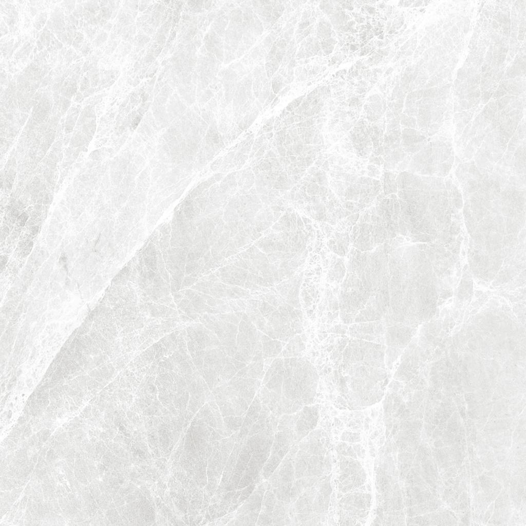 Worner White Sugar 60x60