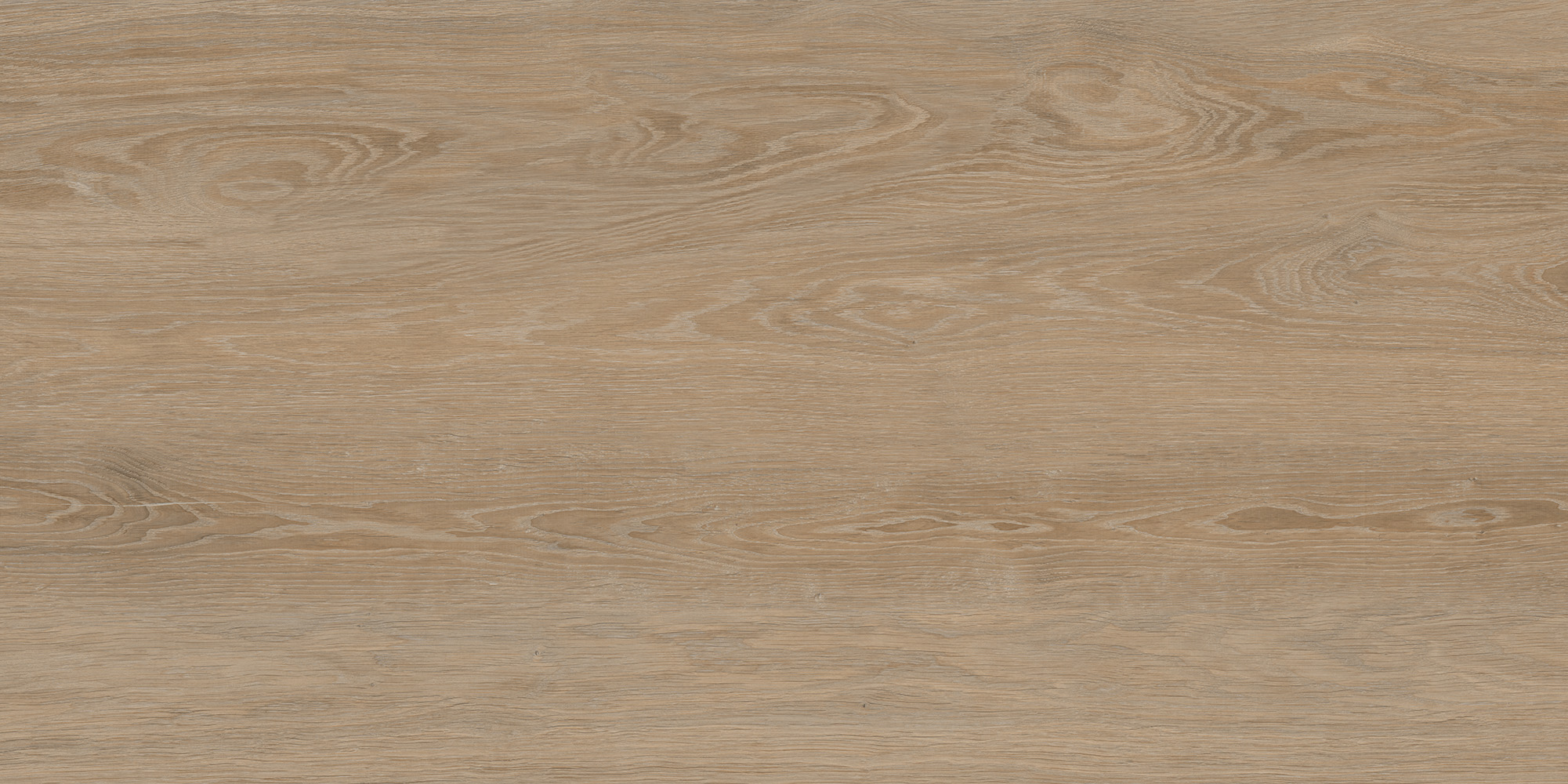 Forest Oak 60x120 — изображение 2