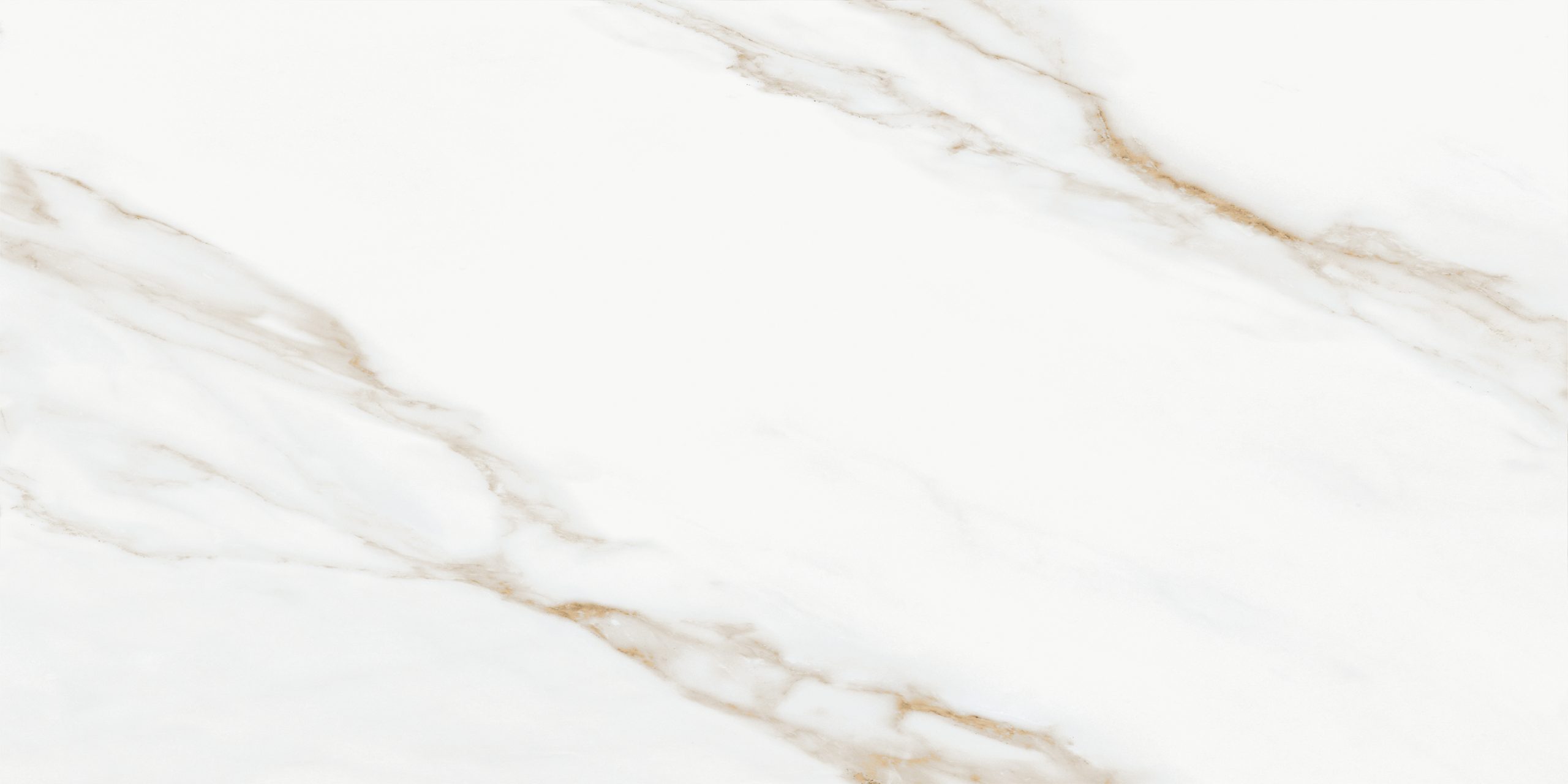 Oriental White — изображение 3