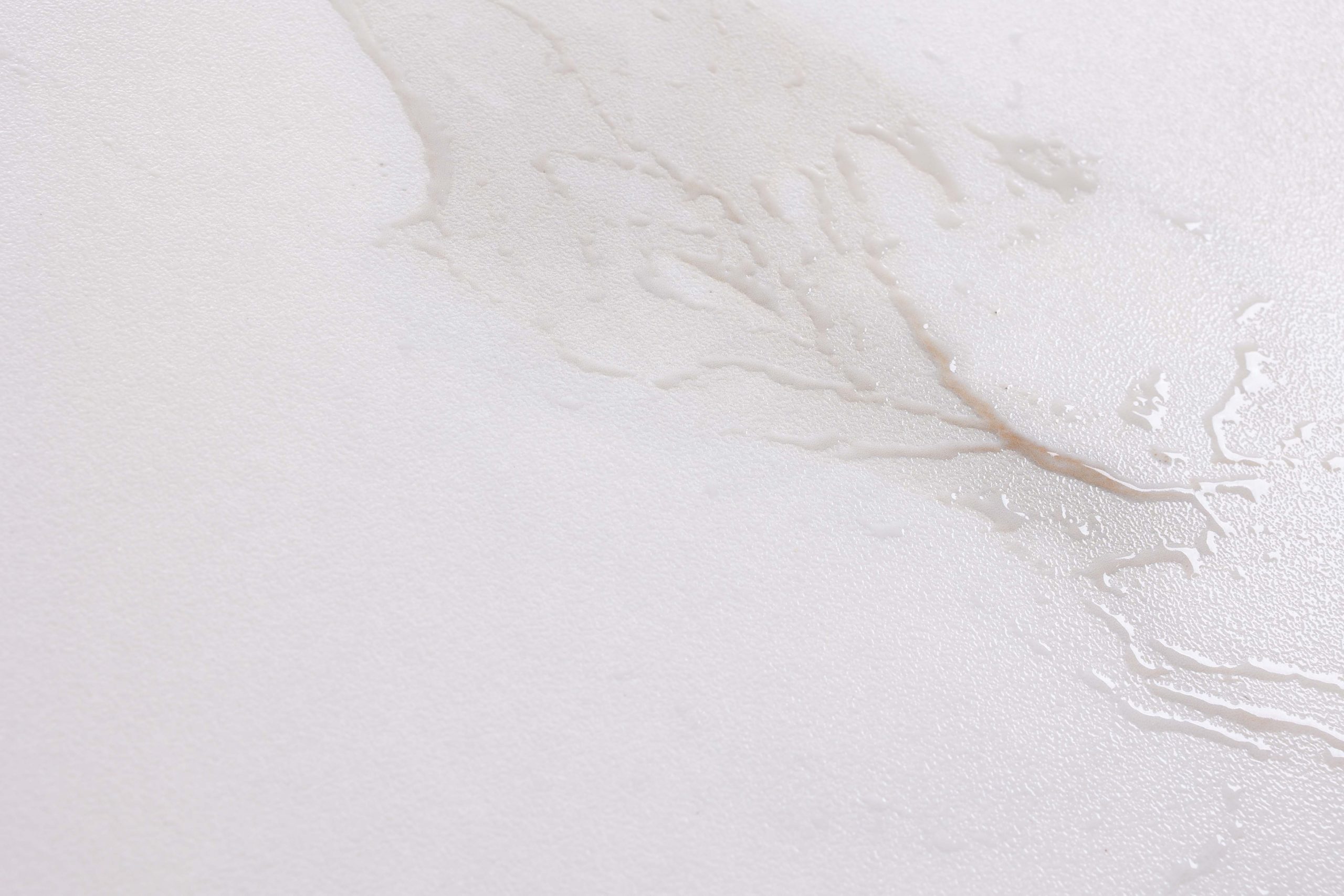Веллингтон Клер Лив — интерьер 7